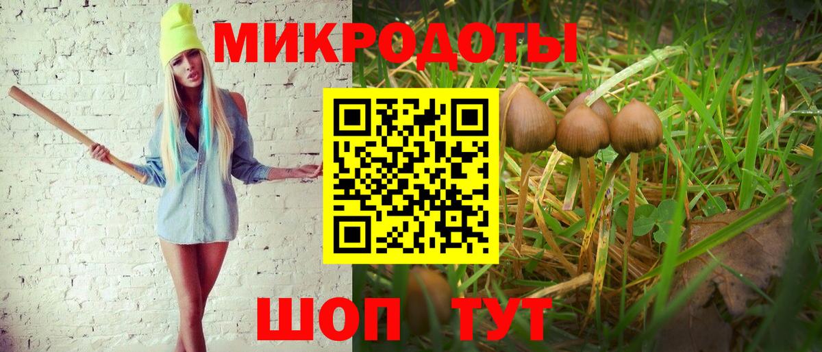 Галлюциногенные грибы прущие грибы Нерюнгри