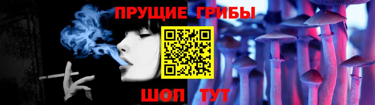 Псилоцибиновые грибы GOLDEN TEACHER  Вход с VPN  Нерюнгри  Галлюциногенные грибы мицелий 
